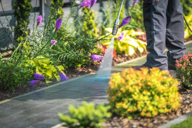 Best Patio and Deck Pressure Washing  in South Valley Stream, NY