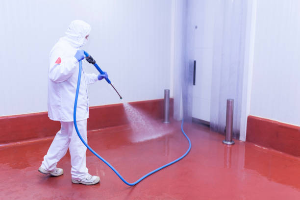 Best Spring Cleaning  in South Valley Stream, NY