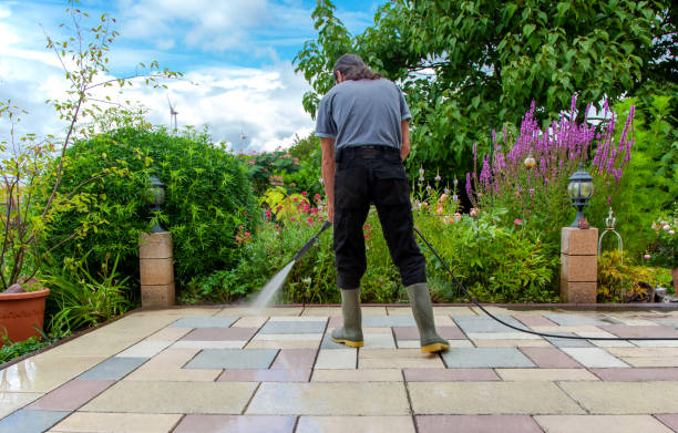 Best Animal Enclosure Cleaning  in South Valley Stream, NY